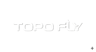 Topo Fly